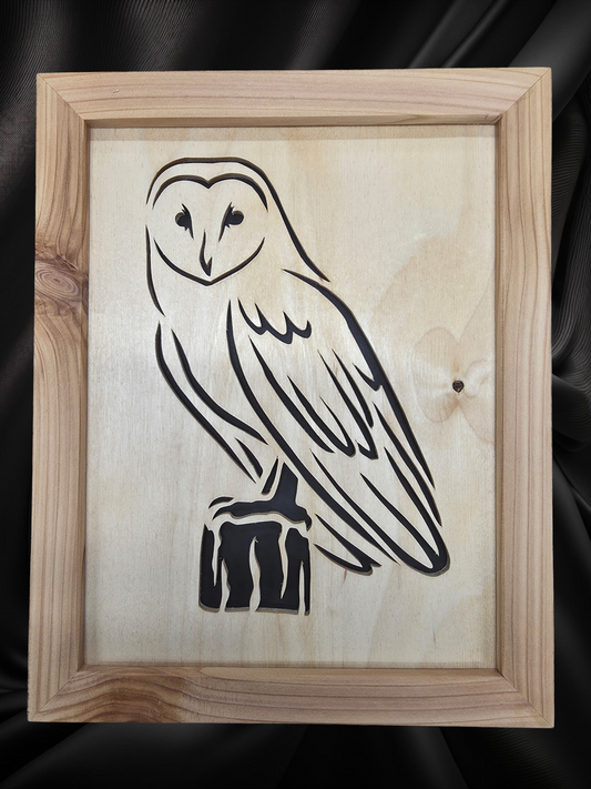 Barn Owl