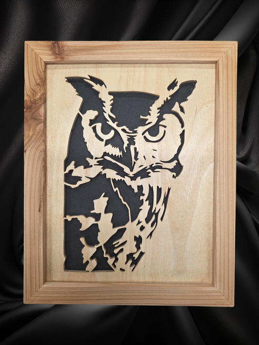 Owl Face